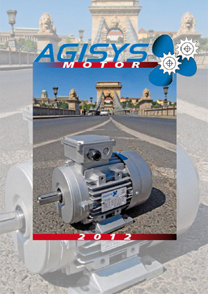 ( Term�keink ) agisysmotor_original