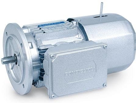 Fekes_motor.jpg